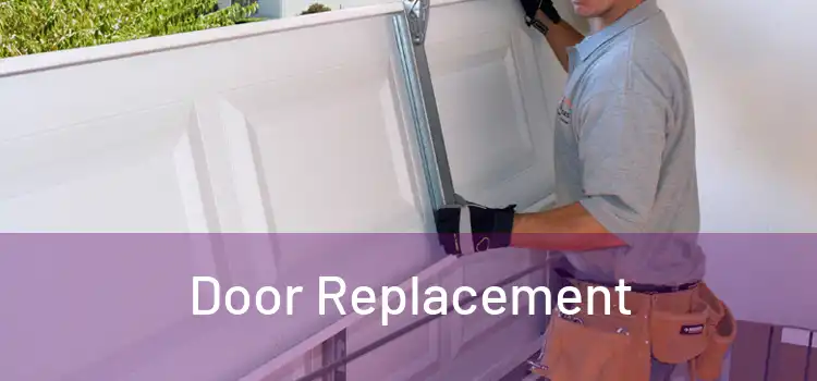  Door Replacement 